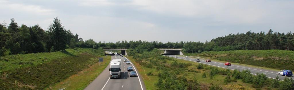 Ecoduct.